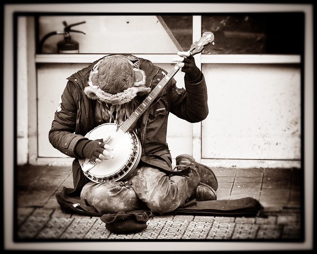 Old banjo players don't die by swillinbillyflynn