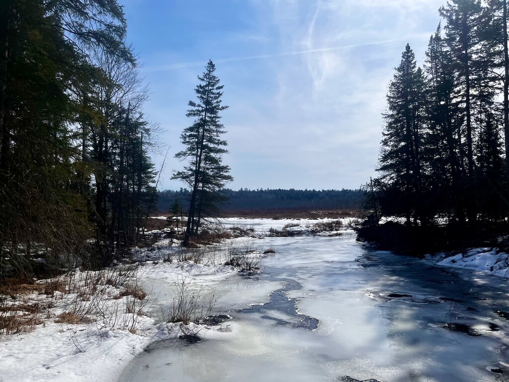 The Beaver Pond by sunnygreenwood