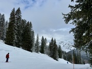 11th Mar 2024 - Ski Slopes ⛷️ 