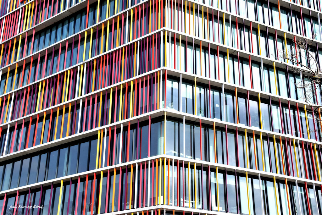 Colorful facade by kork