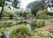 11th Mar 2024 - Goddards Pond and Rockery