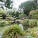 Goddards Pond and Rockery by fishers