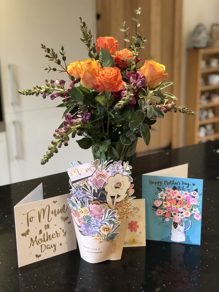 Mother's Day Flowers and Cards by susiemc