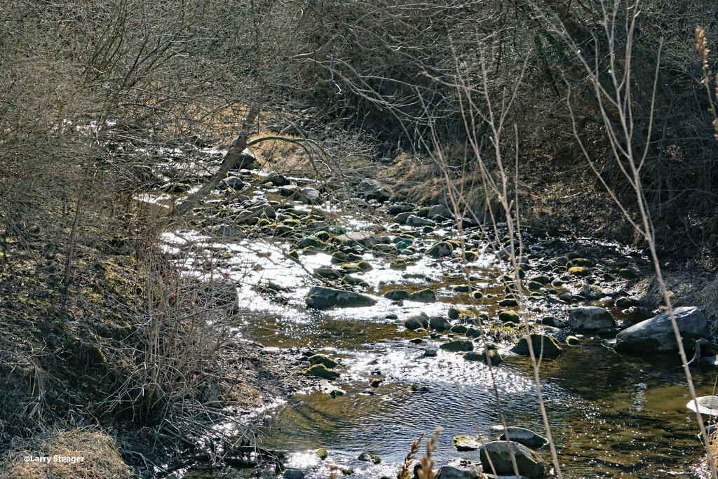 Winter flow in the creek by larrysphotos
