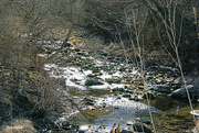 11th Mar 2024 - Winter flow in the creek