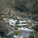 Winter flow in the creek by larrysphotos