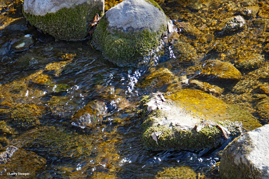 Water and moss rocks by larrysphotos