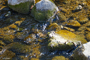 11th Mar 2024 - Water and moss rocks