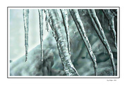 10th Mar 2024 - Icicles