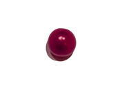 11th Mar 2024 - Tomato-2