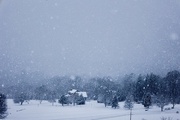 11th Mar 2024 - Snow Storm