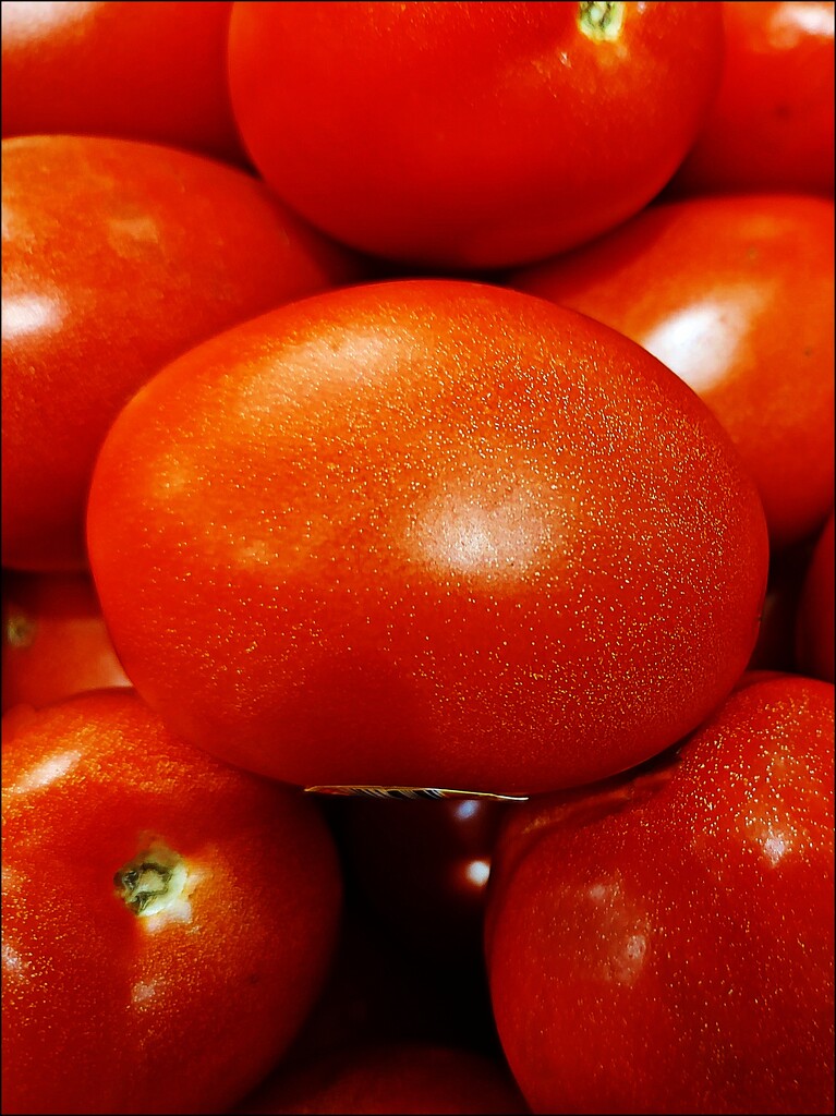 Mundane Tomato by olivetreeann