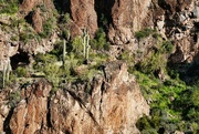 10th Mar 2024 - 3 10 Saguaro on the mountain