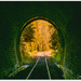 Tunnel to Autumn by julzmaioro