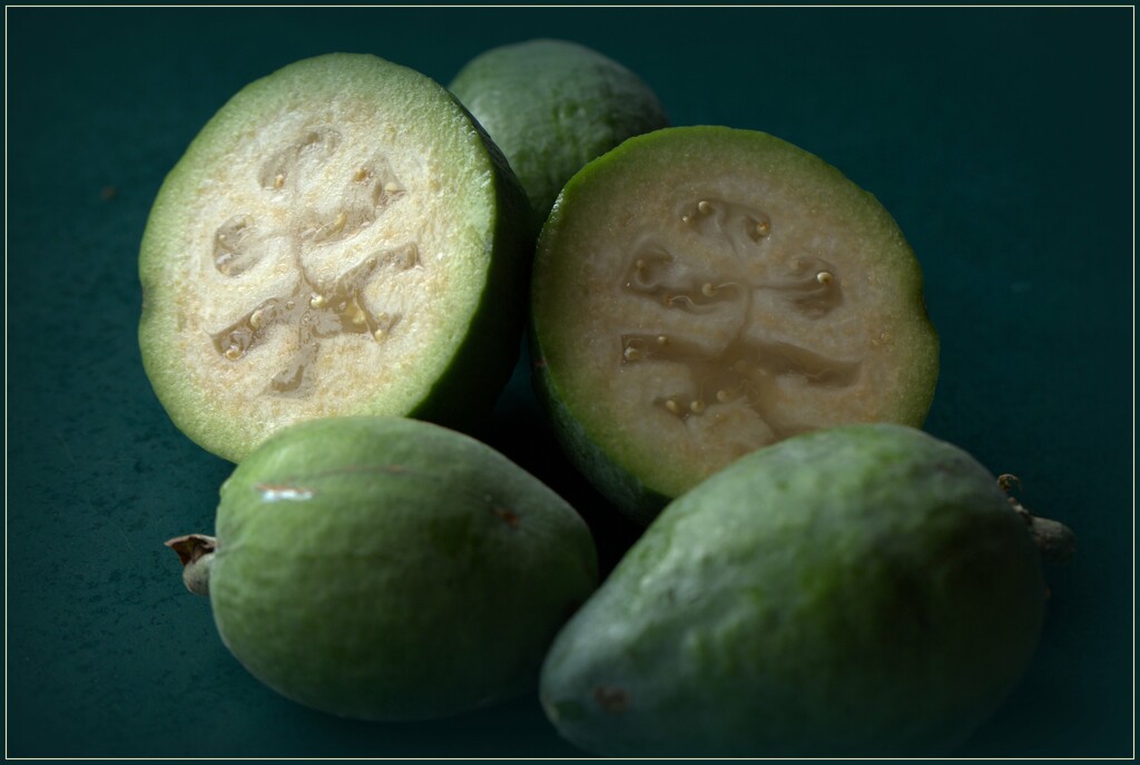 Feijoa by dide