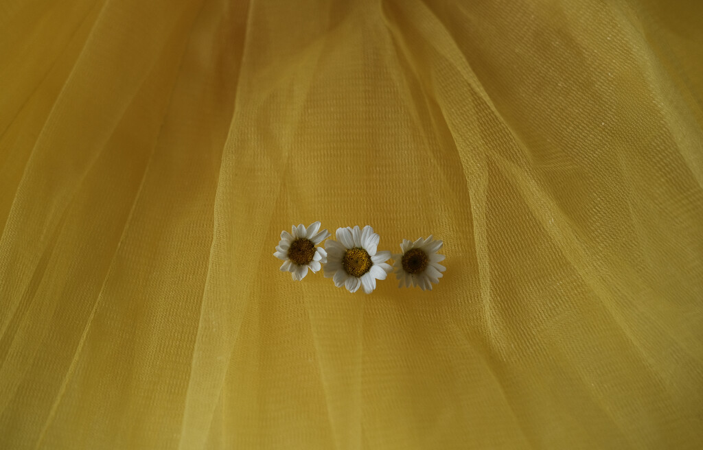 Tutu in yellow with daisies  by brigette