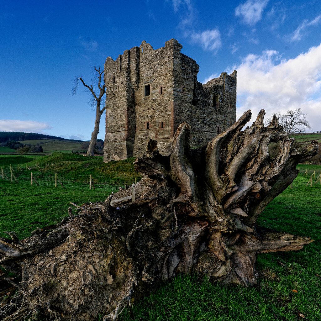 HOPTON CASTLE. by derekskinner