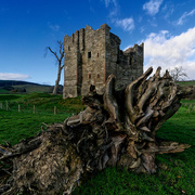 12th Mar 2024 - HOPTON CASTLE.