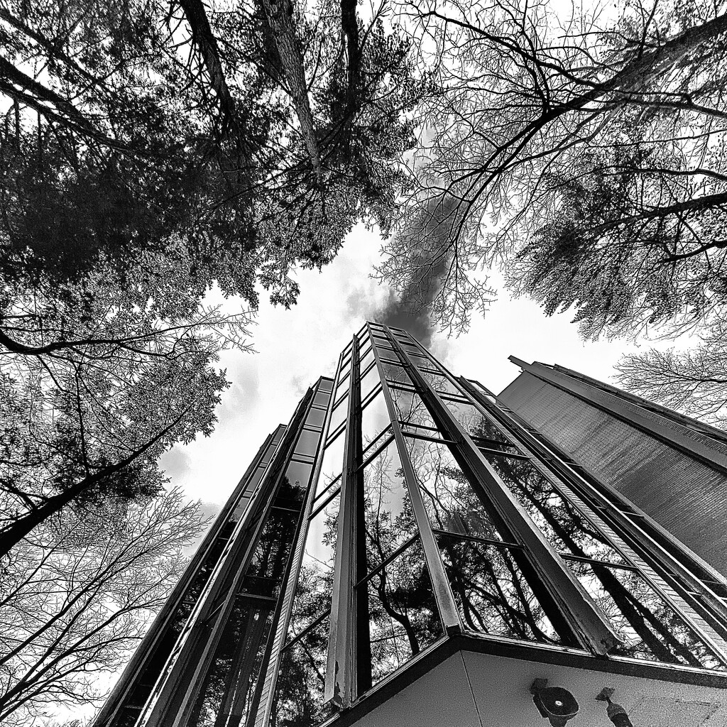 High Rise in the Forest by rickaubin
