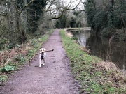12th Mar 2024 - A Canal Walk on a Dreary Day