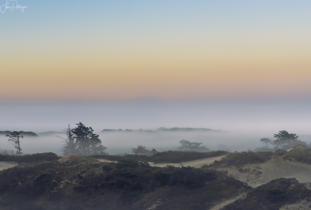 Baker Beach Fog with Color Grade by jgpittenger