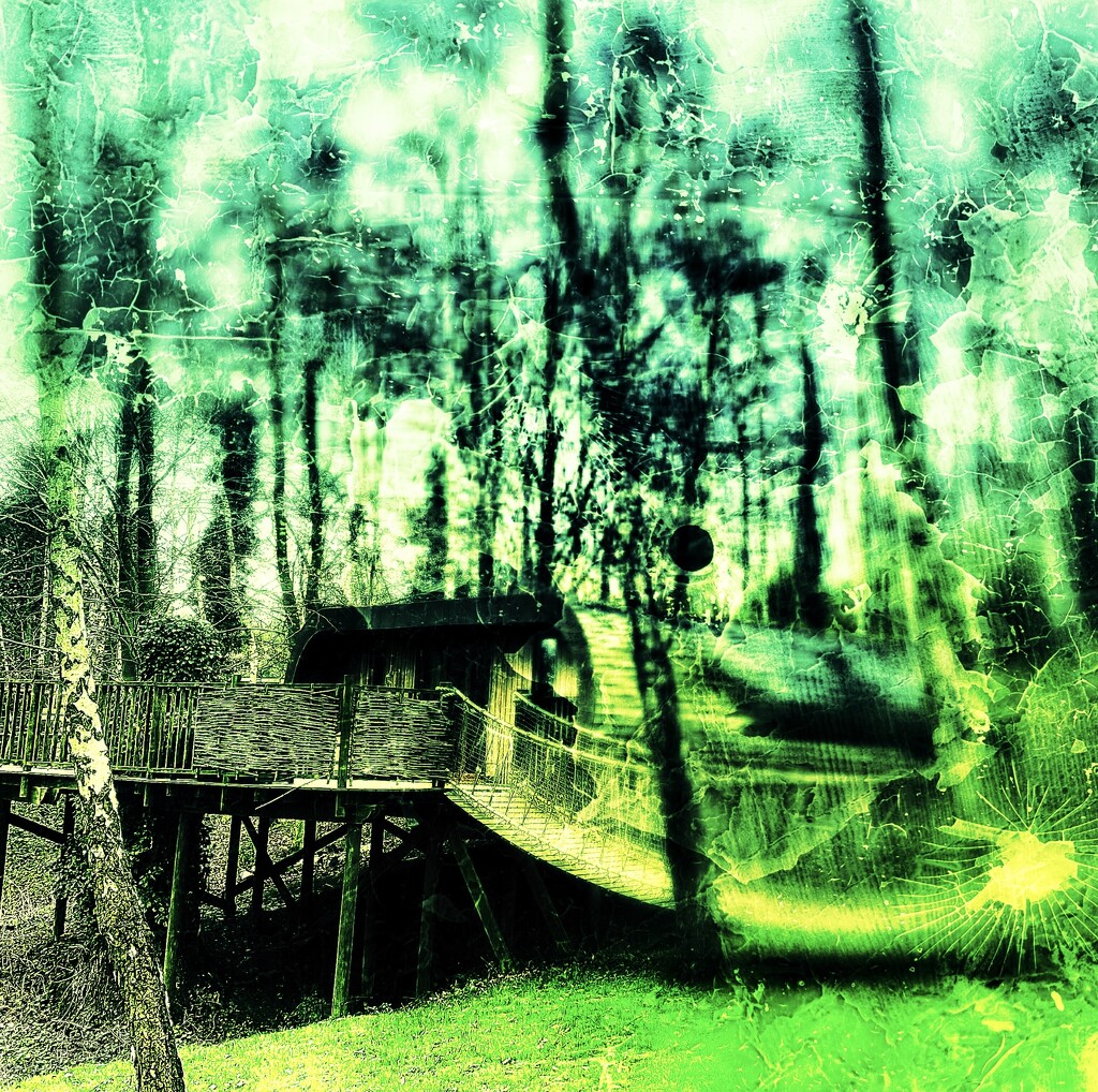 Treehouse grunge by cmf