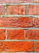 12th Mar 2024 - Wet bricks 