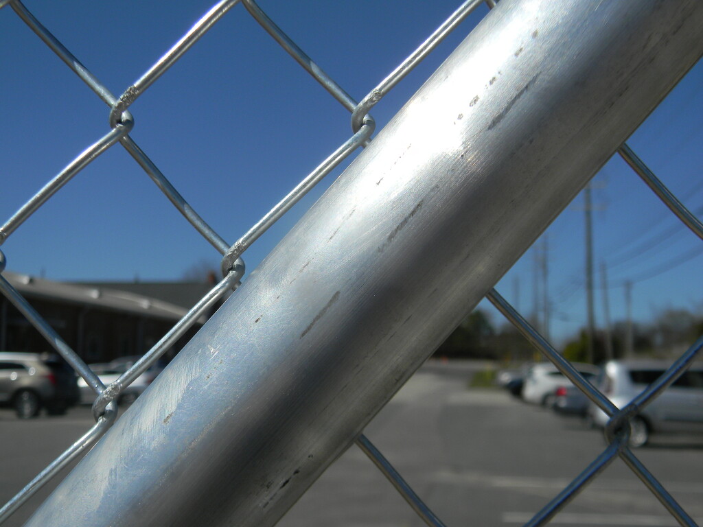 Fence Frame  by sfeldphotos