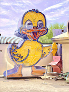13th Mar 2024 - The Ugly Duckling Car Lot sign