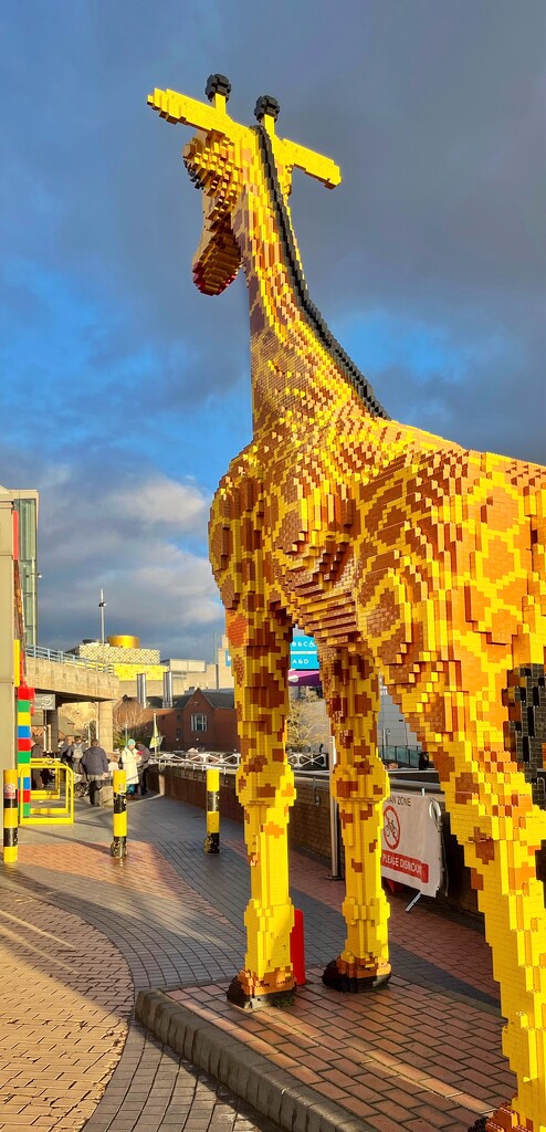 The big giraffe  by pattyblue