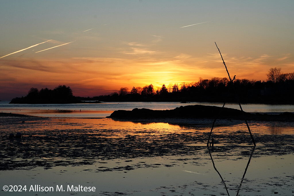 Shoreline Sunset  by falcon11