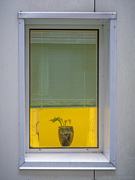 13th Mar 2024 - Window