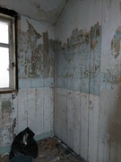9th Mar 2024 - Uncovered painted wooden panelling in the shop