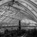 Greenhouse by johnnyfrs