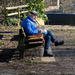 Reading in the sunshine by pcoulson