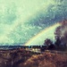 Rainbow  by horter