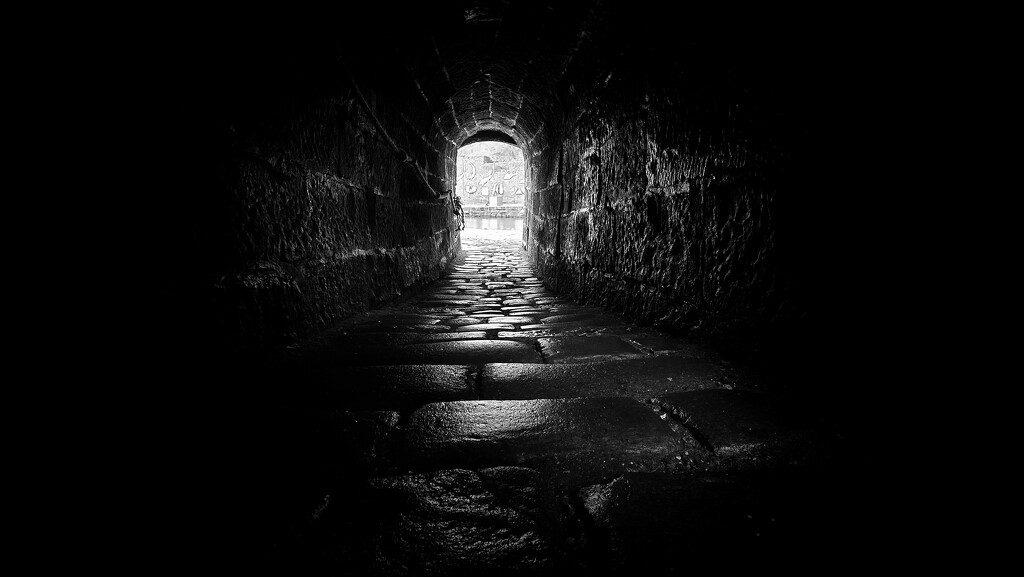 73/366 - Light at the end of the tunnel  by isaacsnek