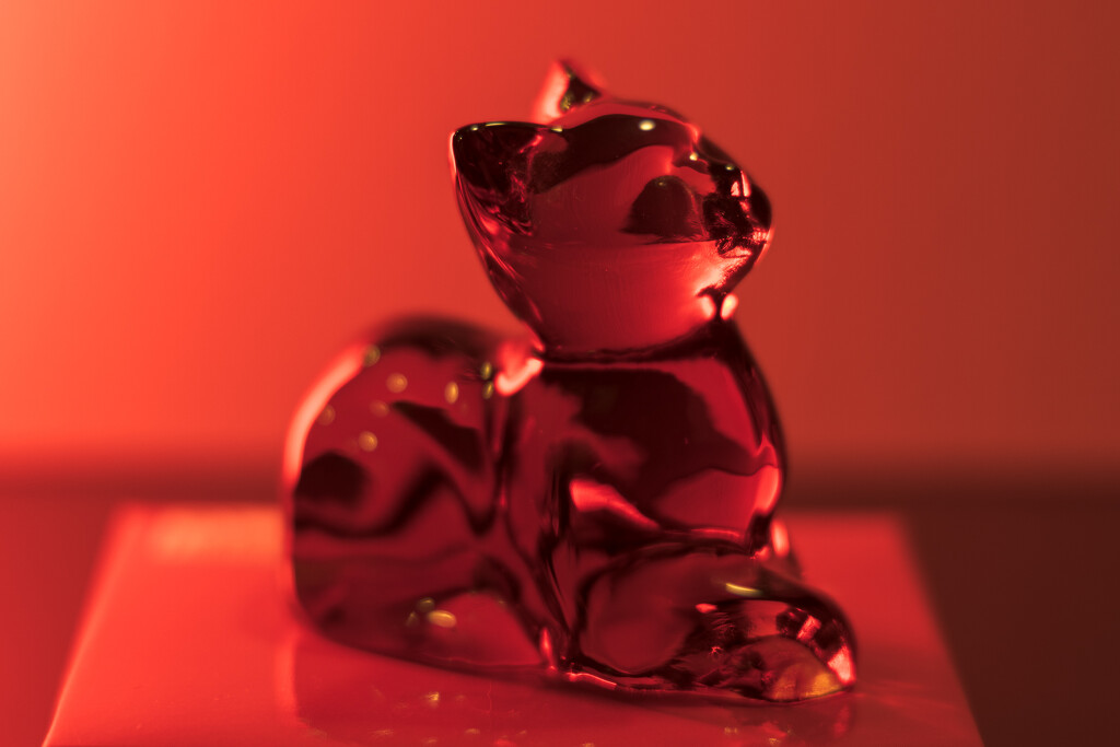 Red Cat by swchappell