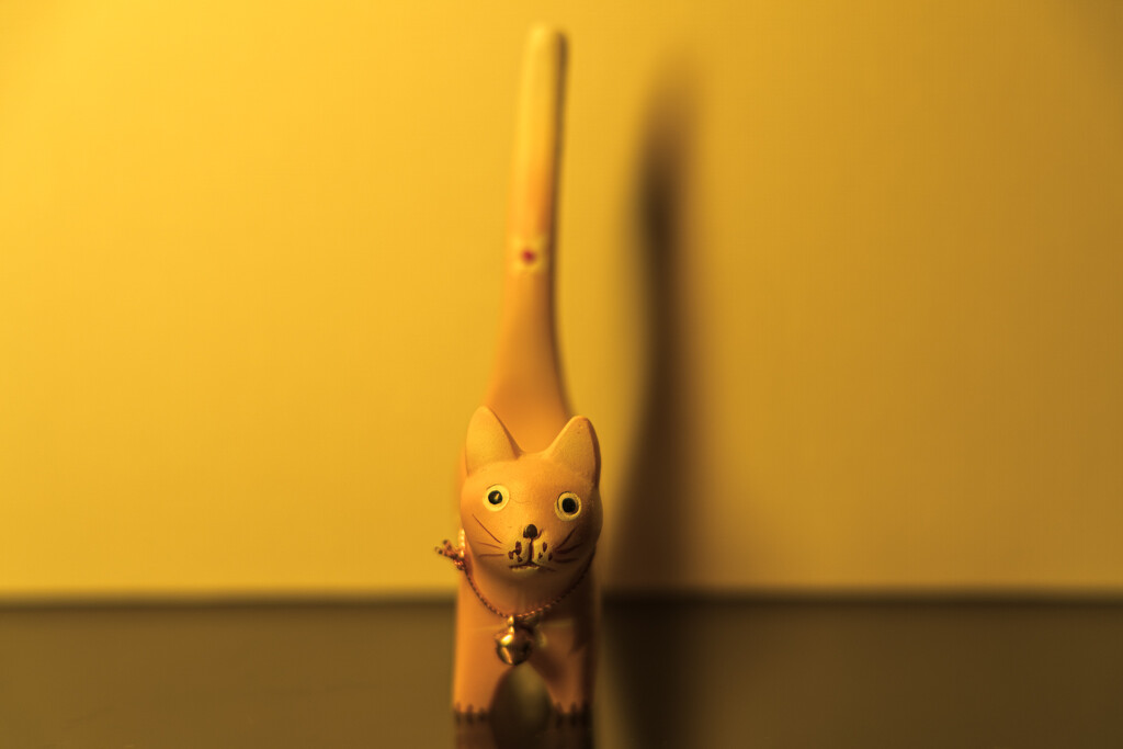Yellow Cat by swchappell