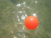2nd Feb 2011 - Spiky ball