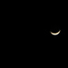 Crescent Moon and Jupiter by randystreat
