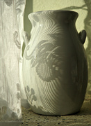 13th Mar 2024 - cucoloris on white vase