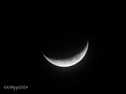 13th Mar 2024 - Crescent Moon 