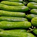 Green Vegetables by kjarn