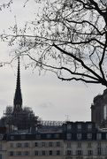 12th Mar 2024 - Notre Dame's spire