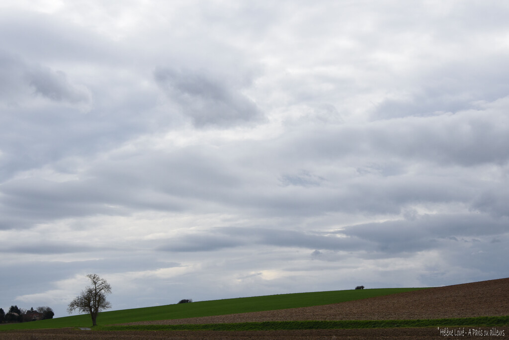 grey sky by parisouailleurs