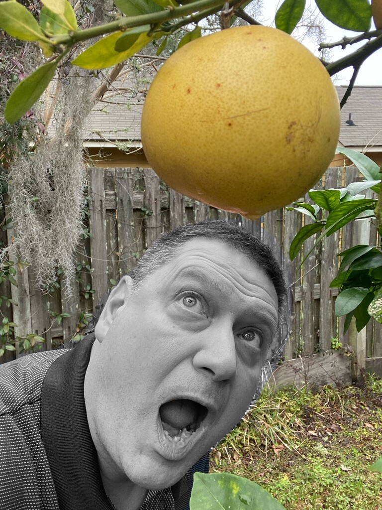 Monochrome Man VS Giant Grapefruit by rickaubin