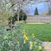 Back Garden  by carole_sandford