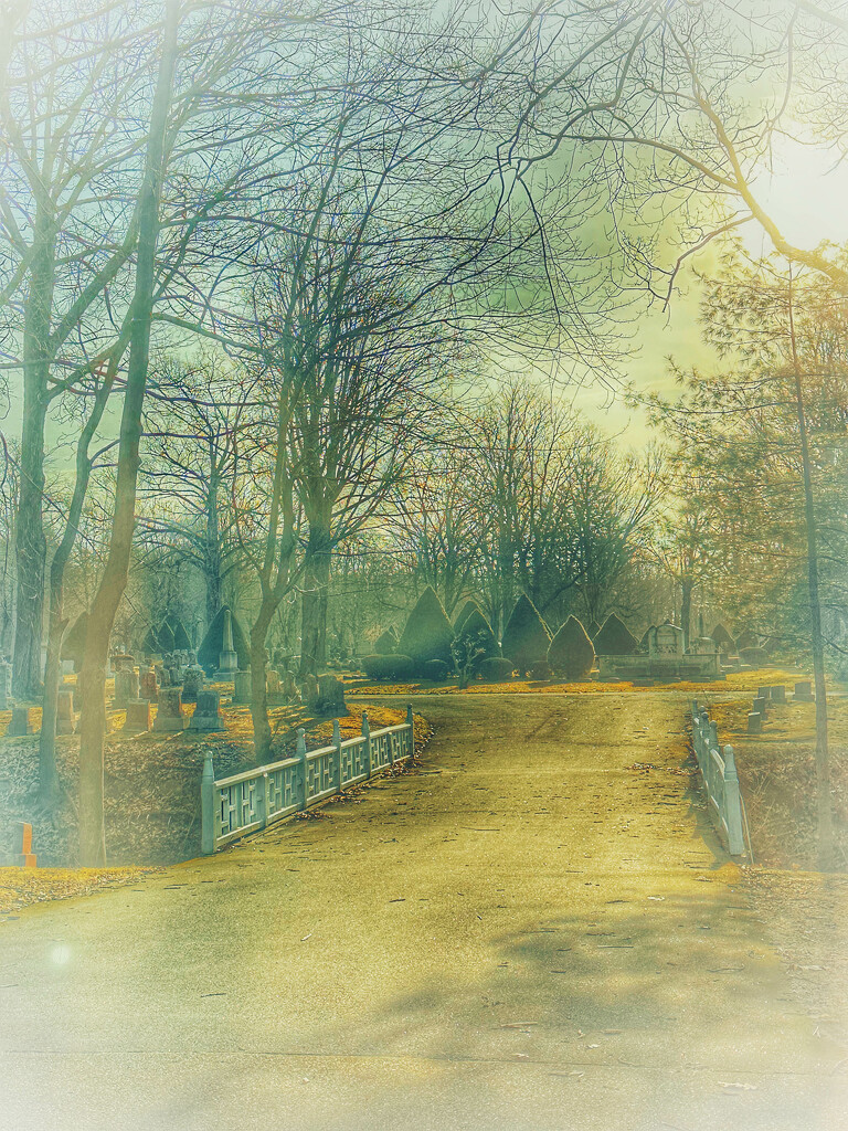Laurel Hill Cemetery by joansmor