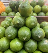 14th Mar 2024 - When the limes have been picked over....